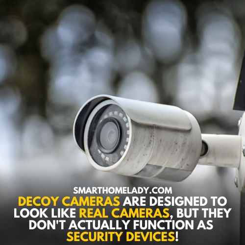 Decoy cameras to hide real camera
